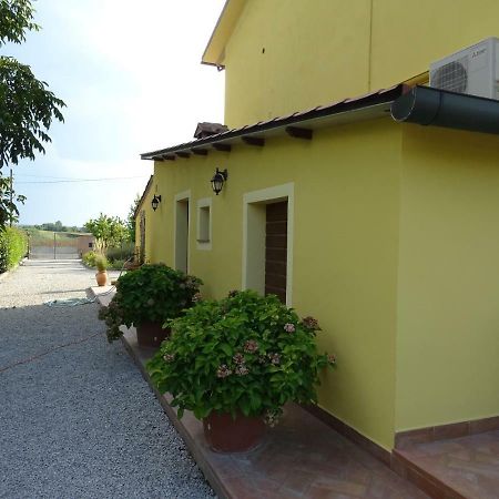 Appartamento Podere I Renai 圣玛丽亚蒙地 外观 照片